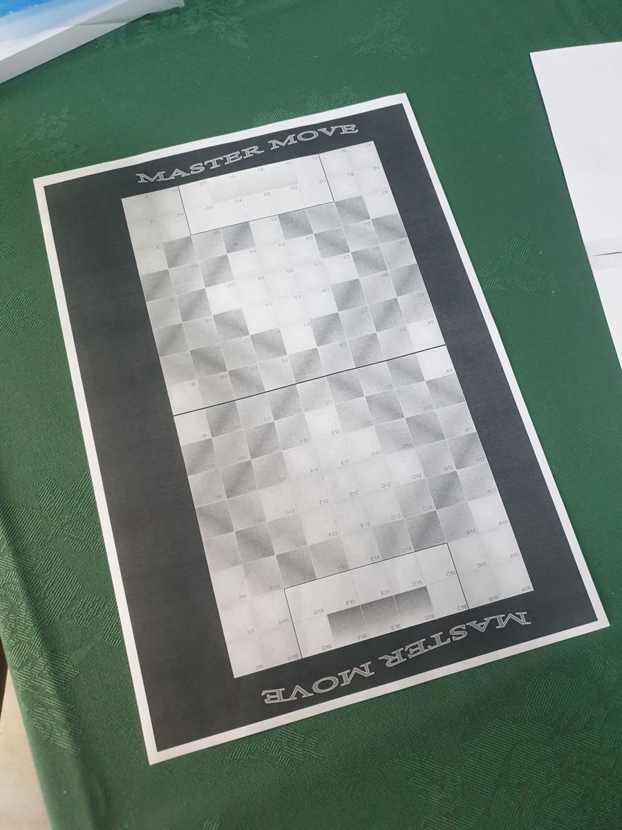 Stampa di prova in bianco e nero del campo 9 per 16 con la scritta Master Move